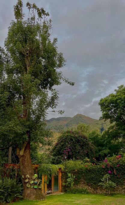 Vila Casa De Los Angeles En El Centro Malinalco Exteriér fotografie